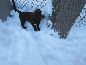 img_3130.jpg