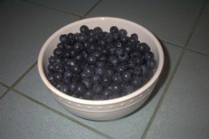 blueberriesgrdn.jpg