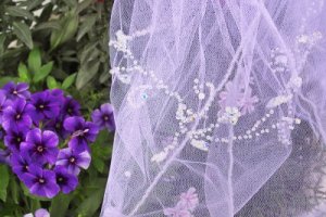 Close up of the veil.jpg