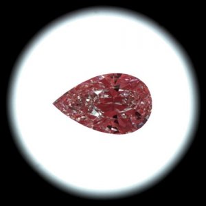 22peariscope.JPG