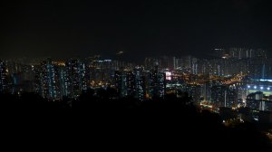 P10100031.jpg