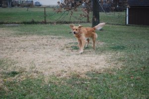 dsc_0678.jpg