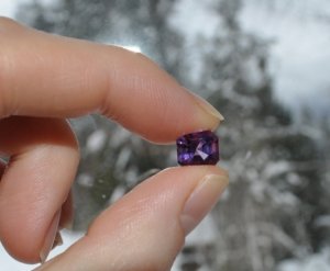 dsc_0126.jpg dsc_0126.jpg