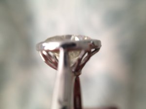 _3049.jpg