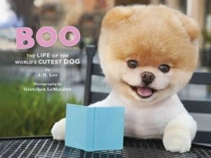 boo-the-worlds-cutest-dog_1_.jpg