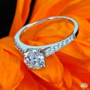 petite-open-cathedral-diamond-engagement-ring-in-platinum_gi_3431_g.jpg
