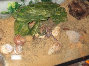 img_3369.jpg