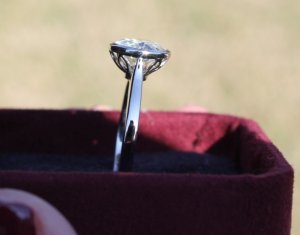 img_497.jpg