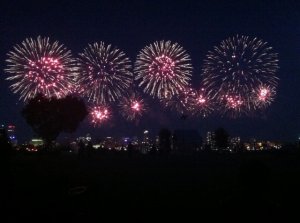 img_505.jpg img_505.jpg