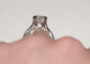 dsc_5597_0.jpg