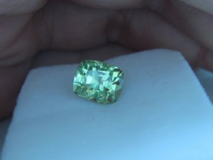 img_508.jpg