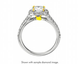 halosideviewedited_zps96284e6e.jpg