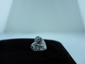 8964-3.jpg