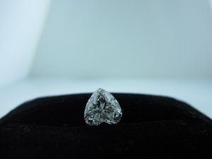 8964-5.jpg