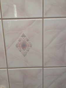 imageuploadedbytapatalk1359583507.jpg