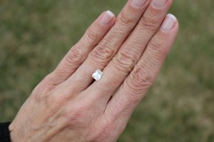 img_526.jpg