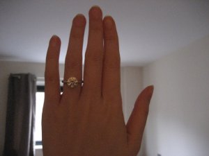img_1550.jpg img_1550.jpg