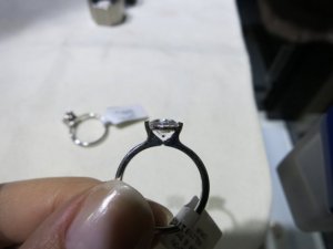 cavashotimg_0420.jpg