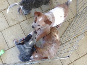 img_0102.jpg
