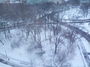 prettysnow.jpg