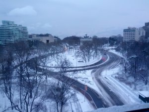 snow.jpeg