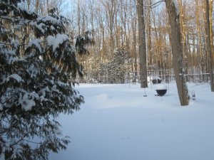 img_3384.jpg
