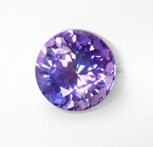 violet_bi-color_blue-pink_0.jpg