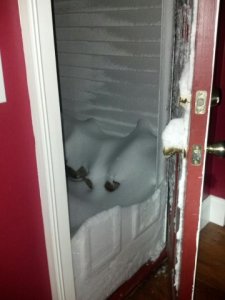 snowmorenemo.jpg