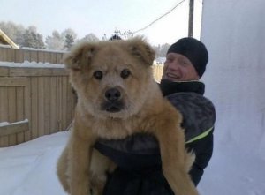 bigdog1.jpg