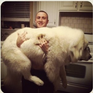 bigdog3.jpg