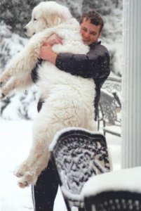 bigdog4.jpg