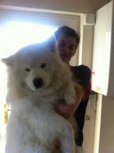 bigdog5.png