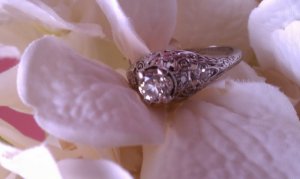 ringflower1.jpg