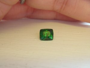 img_4007.jpg