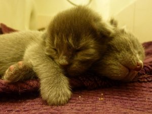 _3769.jpg _3769.jpg