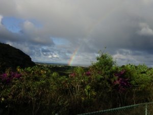 dsc00214.jpg