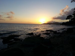 20130214_181223.jpg
