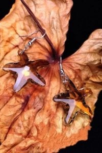 crystal_starfish_earrings.jpg