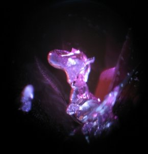spinel_bubb_00_0.jpg