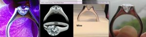 thing2_sholdt_ring2.jpg