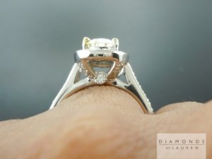 r4628-hand-shot-ab.jpg