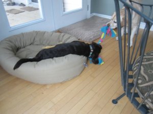 img_3421.jpg
