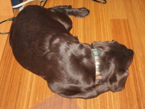 img_3399.jpg