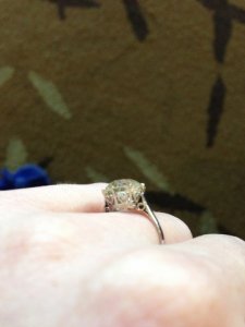 img_650.jpg
