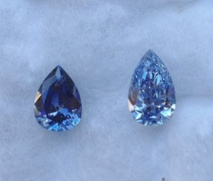 two_blue_pears_shade_close_0.jpg