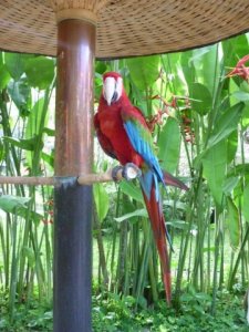 birdphoto.jpg