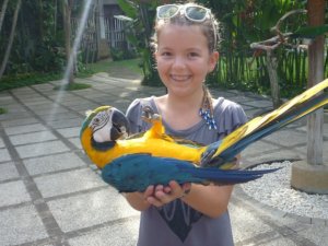 ktbirdphoto.jpg