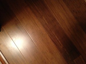 photo__9_5.jpg
