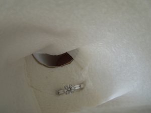 dscn0475.jpg