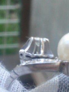 cam00087.jpg